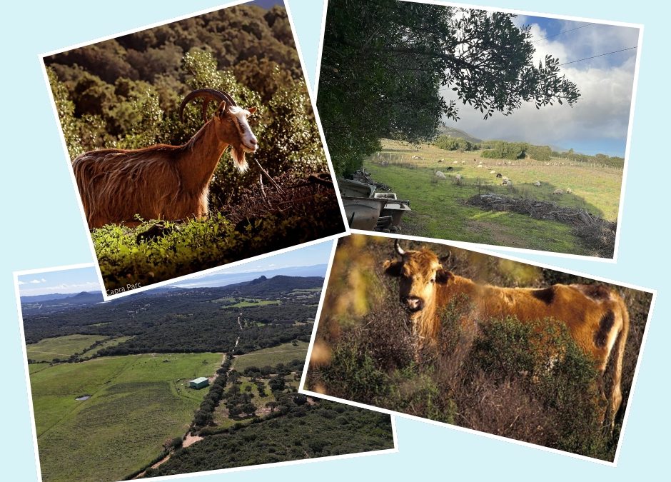 AGRICULTURE : Bâtir une agriculture forte, durable et identitaire